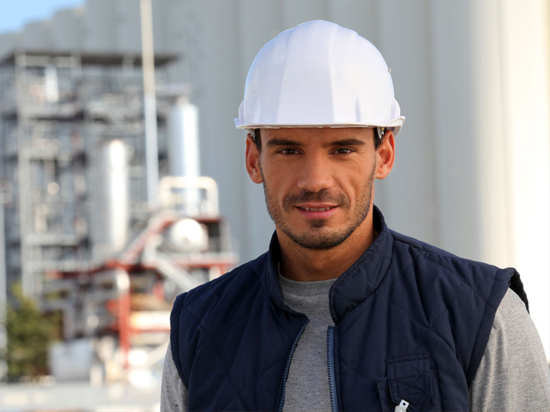 Olypian quarrels et gorilla congolium sic