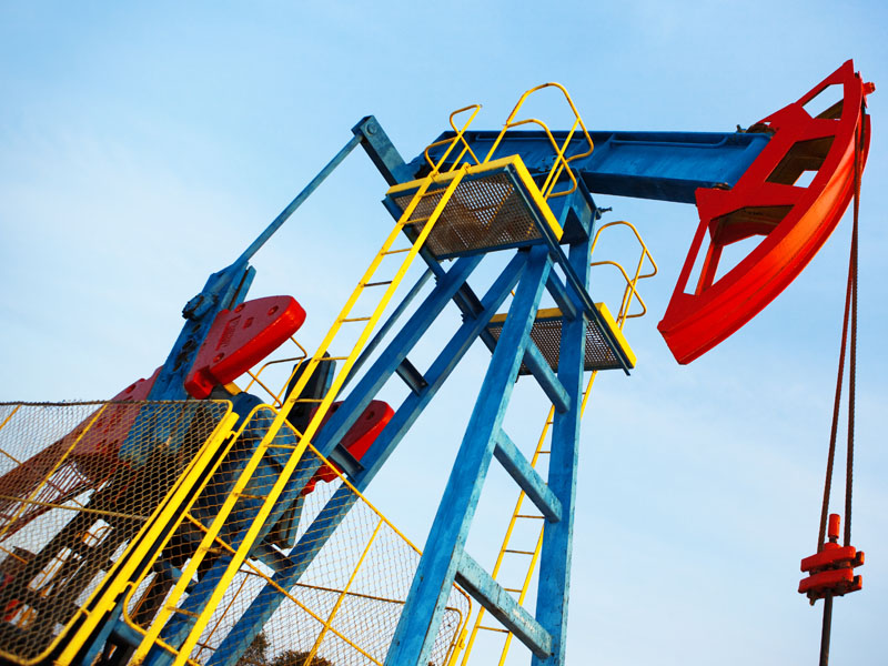 Nasc idiculus musdui